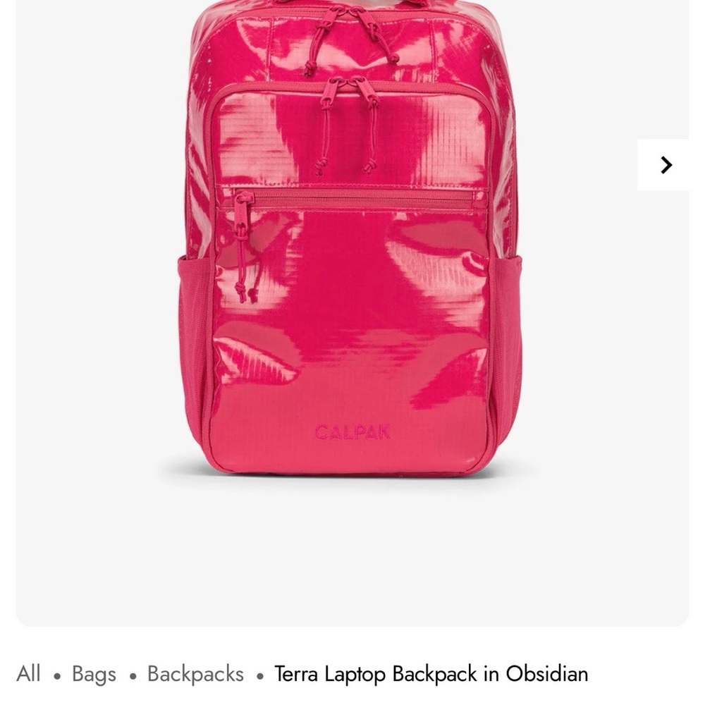 💕 Calpak Dragonfruit Laptop Terra Backpack 🎒
